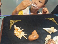-贝壳王国博物馆