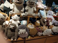 -九木杂物社(新奥购物中心店)