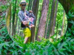 -共青国家森林公园-售票处