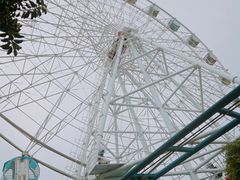 -东湖公园游乐场