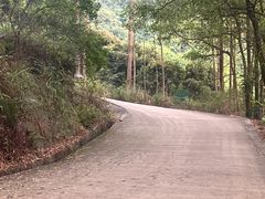 -东莞市大岭山森林公园