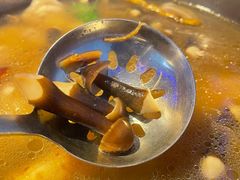 -千岛蚝高压锅生蚝·人参火锅(白云万达店)