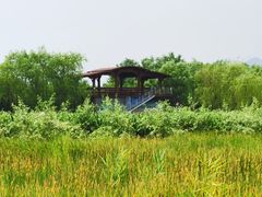 -永定河休闲森林公园