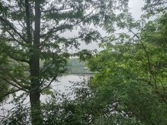 -重庆彩云湖湿地公园