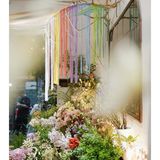 春天开在了花里花俏的地方💐