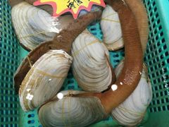 -船梆煮•蒸汽海鲜·生腌干蒸(五四广场店)