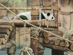 -泉州海丝野生动物世界