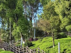 -酱湘宴餐厅(狮子山公园店)
