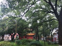 -南岳衡山风景名胜区