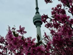 -龟山风景区-龟山电视塔