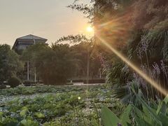 -沐仙湖湿地公园