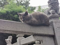 -圆通禅寺