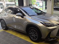 -利美特•威固V-KOOL双膜(杨浦授权店)