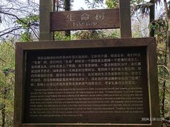 -云碧峰国家森林公园