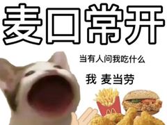 -麦当劳(新新大道岗丰店)