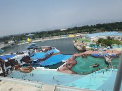 -秦皇岛乐岛海洋王国