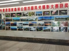 -牛背梁国家森林公园
