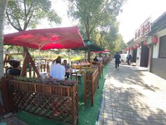 -丫丫蟹庄·苏式园林农家乐·阳澄湖大闸蟹(阳澄湖莲花岛店)