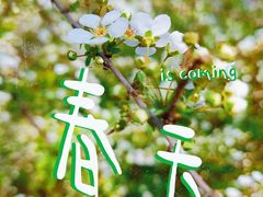 -上海市第一人民医院(松江南部)