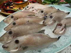 -莺花渡火锅City Green(万象城店)