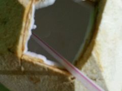 -真浪大家乐海鲜餐馆