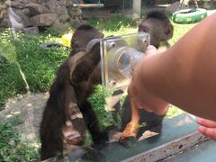 -西安秦岭野生动物园