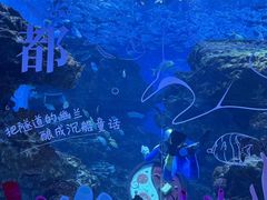 -海合安成都极地海洋公园