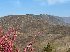 -北京西山国家森林公园