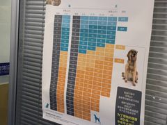 -美联众合动物医院(·中兽医·疑难杂症·严家桥分院)