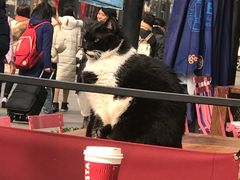 -COSTA COFFEE(常熟路店)