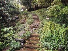 -中国茶叶博物馆(双峰馆区)