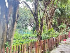 -园林美食城·本土农家菜(杨和镇店)