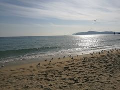 -海云台海滩