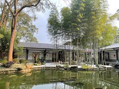 -南山植物园