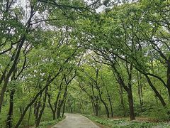 -沈阳市东陵公园
