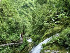 -鹿院坪生态旅游景区