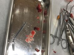 -维乐口腔·埃齐门诊(静安店)