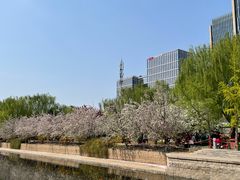 -元大都城垣遗址公园