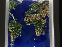 -贝壳王国博物馆