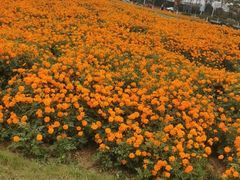 -映月湖中央公园