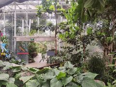 -北京植物园-展览温室