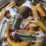 时令家常菜之大蒜烧黄鳝，软糯又咸鲜