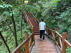 -大岭沟猕猴桃谷风景区