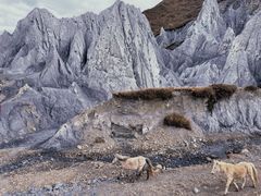 -墨石公园景区