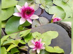 -湘湖金融镇