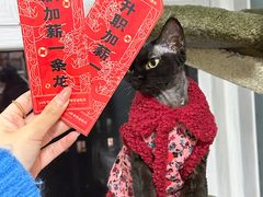 -鱼上·烤鱼(万象城店)