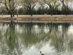 -颐和园