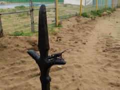 -北戴河圣蓝海洋公园