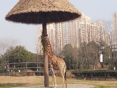 -南昌动物园
