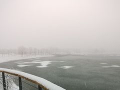 -东郊湿地公园